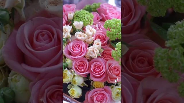 1 ноября 2023 г. смотреть онлайн