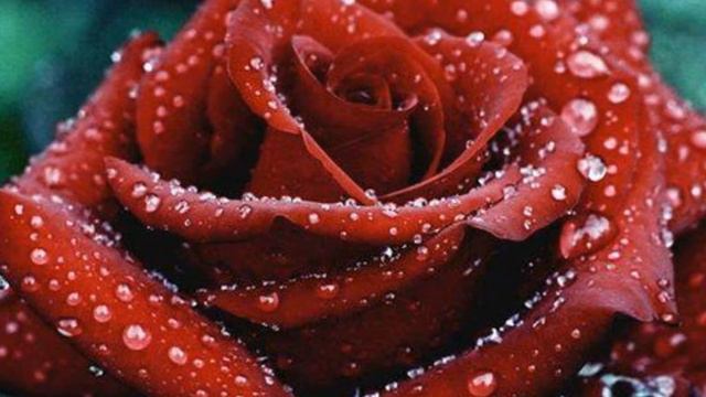 Призрак Оперы - Phantom of the Opera ... смотреть онлайн