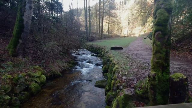 WANDERUNG ZUM GEROLDSAUER WASSERFALL - Schwarzwald (Black Forest) 4K 🇩🇪 🥾 🌲 🌳🌻 смотреть онлайн