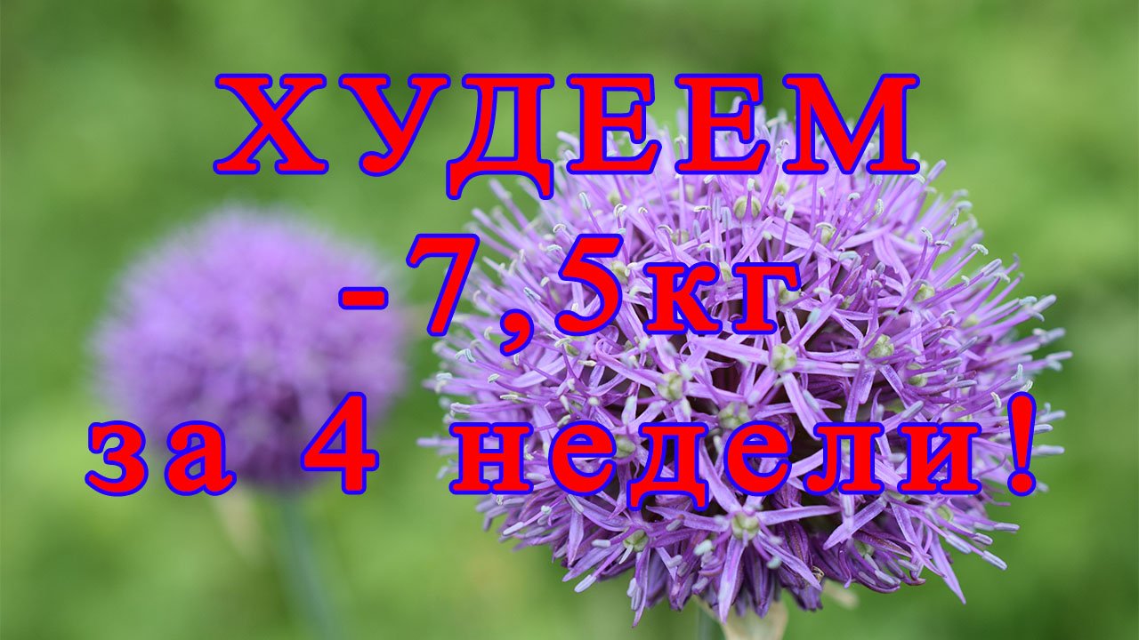 Похудение ролик 6 На 7.5кг за 4 недели