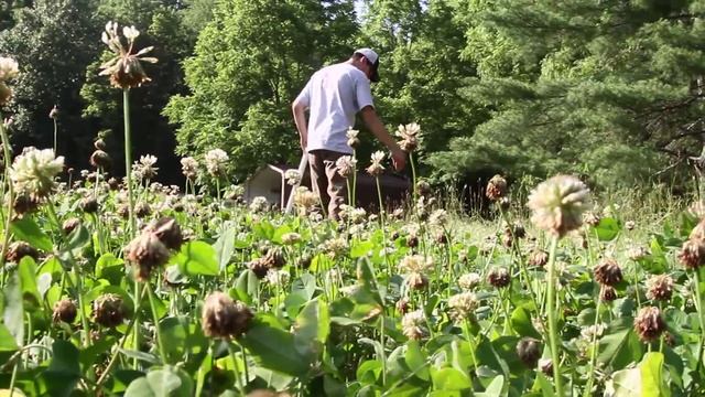 Bowhunt or Die - Season 02 Episode 04: Pre-Season Preparations смотреть онлайн