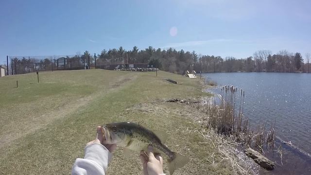 My First Lucky Tackle Box Bass Tournament! TourneyX Walkthough смотреть онлайн