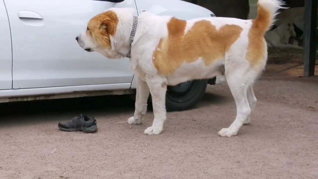 26 августа 2023 г. смотреть онлайн