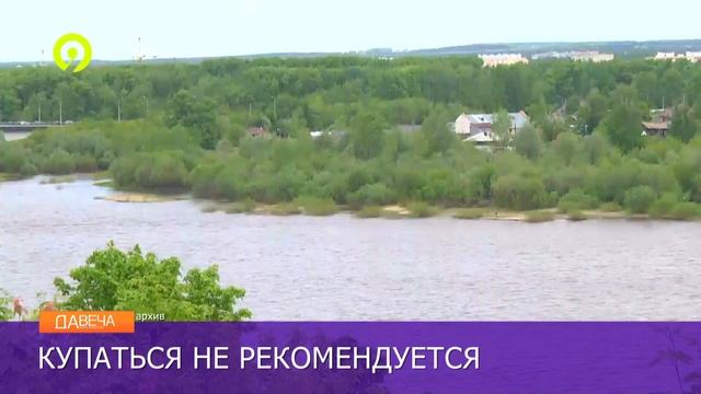 Качество воды на пляжах области смотреть онлайн