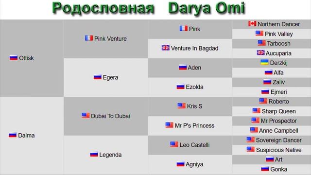 Продажа ЧК кобылка 2023 г.р. отец Bulgakov мать Darya Omi ЦЕНА по тел 79883400208 Telegram WhatsAp