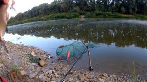 КРУПНЫЙ ЛЕЩ НА РЕКЕ УРАЛ. РЫБАЛКА ПРОСТО СКАЗКА