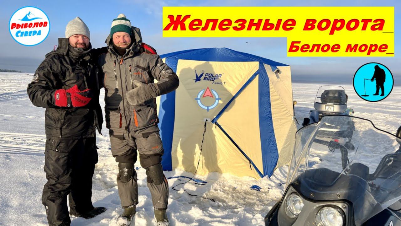 ✅ КОРЮШКА | СУХОЕ МОРЕ 2023 | ЖЕЛЕЗНЫЕ ВОРОТА | #рыболов_севера смотреть онлайн
