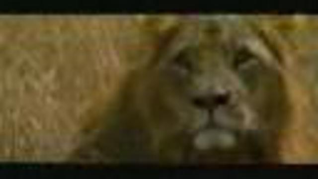 африка смотреть онлайн