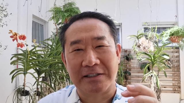 O INIMIGO NÚMERO UM DA SAÚDE | Peter Liu смотреть онлайн
