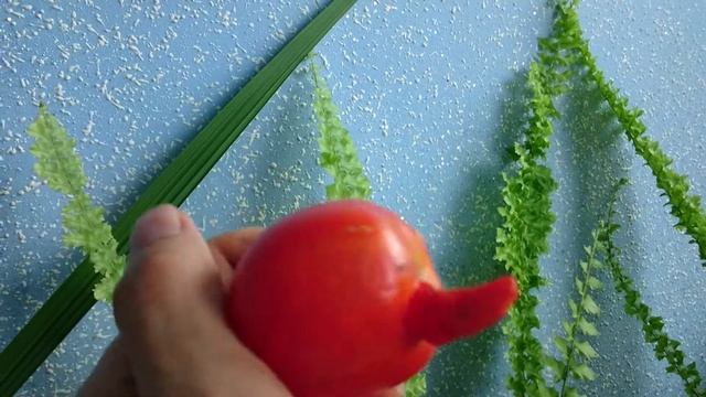 @#ПРИРОДА ШУТИТ #СЕНЬОР #ПОМИДОР-- СЫН #БУРАТИНО)) смотреть онлайн