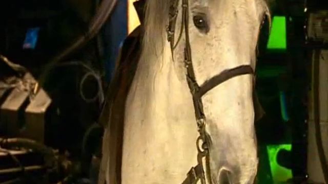 ... Райнет/Доктор... смотреть онлайн