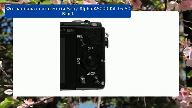 Фотоаппарат Sony Alpha A5000 Kit 16-50 Black обзор