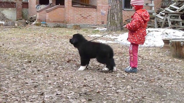 P1070703 смотреть онлайн