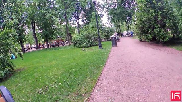 Утки в парке (Xiaomi Yi 1080P) смотреть онлайн