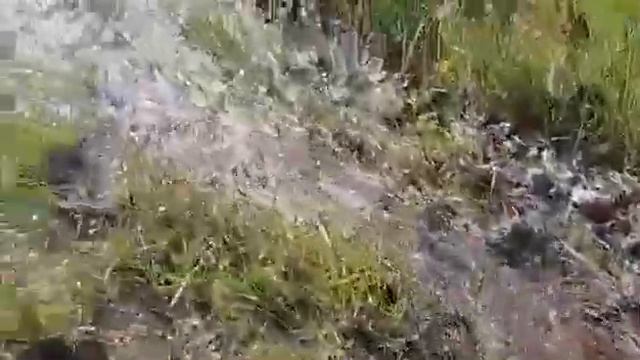 Питьевая вода используется не по назначению