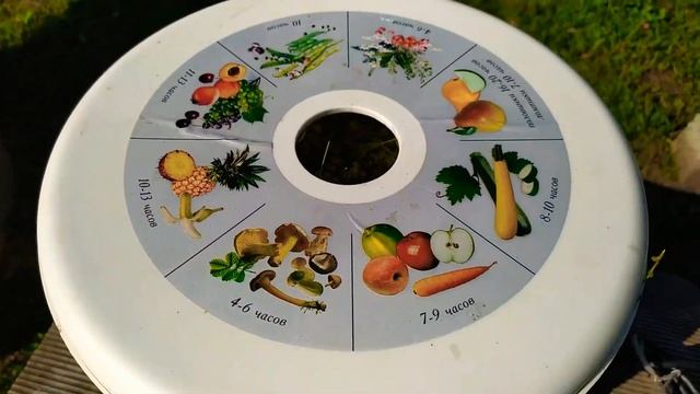 Как сушить ЛИПОВЫЙ ЦВЕТ и ЗВЕРОБОЙ? смотреть онлайн