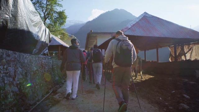 ЙОГА ТУР ИНДИЯ 2019/YOGA TOUR INDIA 2019 VEDIC YOGA CENTRE смотреть онлайн