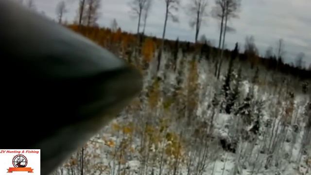 MOOSE HUNTING ! охота на лося с вышки смотреть онлайн