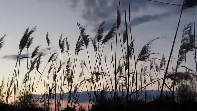 Клип о временах года.clip about the seasons.Природа Ростовской области. смотреть онлайн