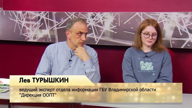Вечер во Владимире смотреть онлайн