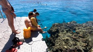 Reef Oasis Beach Resort 5* -  Подводный мир