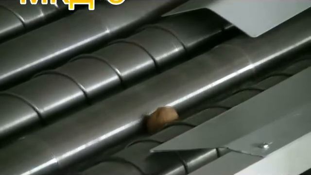 Walnut shelling machine.Переработка грецкого ореха.
