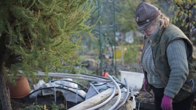 Как правильно укрыть розы на зиму смотреть онлайн