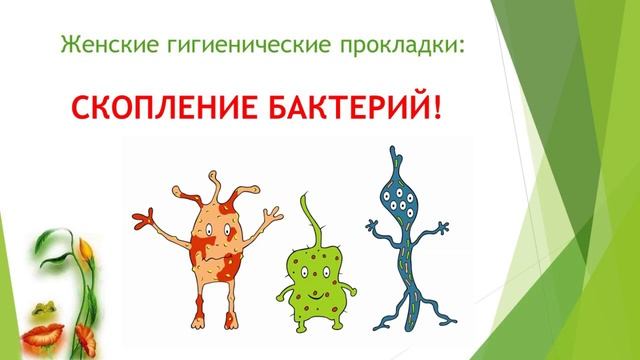 Правда о женских прокладках  Компания 'Гринлиф' рекомендует GREENLEAF