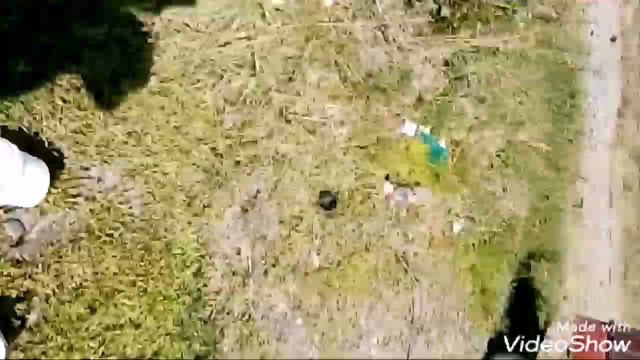 Рыбалка на щуку(воблер против селиконовой рыбки) смотреть онлайн