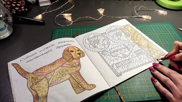 Хобби-VLOG:#171модные раскраски для девочек всех возрастов смотреть онлайн