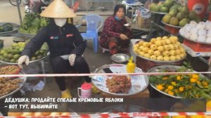 ВЬЕТНАМ, ДЕРЕВНЯ. Утро с вьетнамским дедушкой.