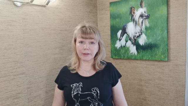 Чистка параанальных желез/Китайские хохлатые смотреть онлайн