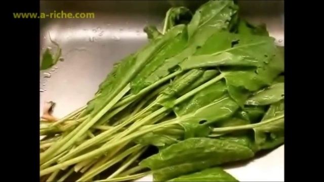 Что приготовить из щавеля 2 Щавель консервированный и Щи из Щавеля смотреть онлайн