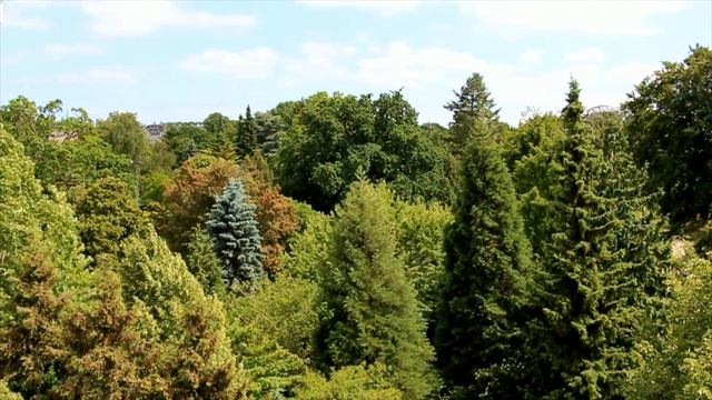 Soothing Music For Relax, Meditate & Study #111 ? संगीत को आराम ? リラックス音楽 ? 음악을 이완하십시오 ? Chillout