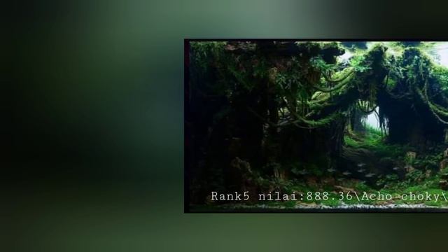 KOREA INTERNATIONAL AQUASCAPING CONTEST Rank 10-01