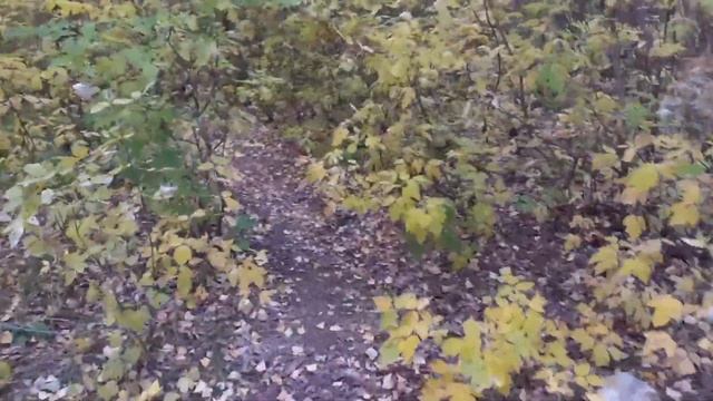 Рыбалка на щуку на реке Ток... смотреть онлайн