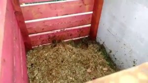 Мы сделали садовый компостер!