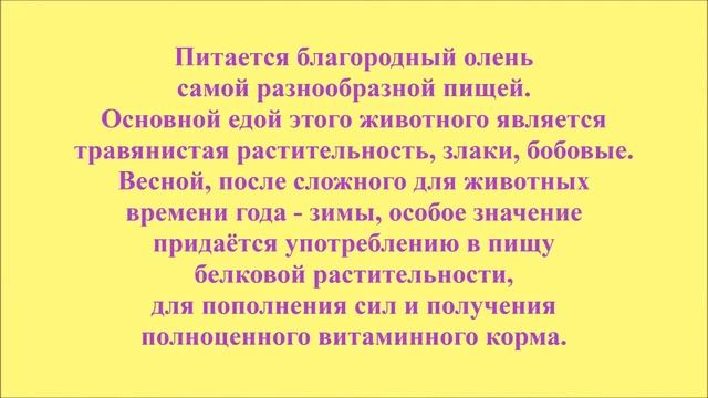 Мир животных. Олень смотреть онлайн