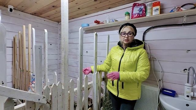 Продаю суперскую козу под покрытие. Коза молодая, крепкая. смотреть онлайн