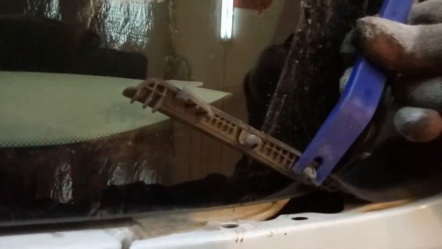 Школа Быстрой Автоэволюции