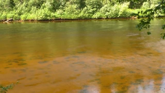 ЖИВУ В СТАРОЙ ИЗБУШКЕ. РЫБАЛКА НА ХАРИУСА. смотреть онлайн