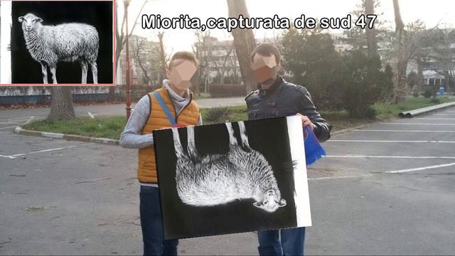 10 noi capturi ale peluzei sud 47 - Episodul 2 смотреть онлайн