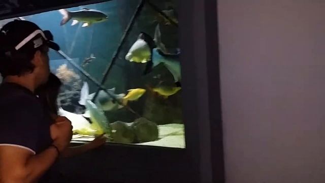 Munich-Мюнхен (9.06.2014) - Hellabrunn Zoo - Мюнхенский зоопарк - Рыбы (5) смотреть онлайн