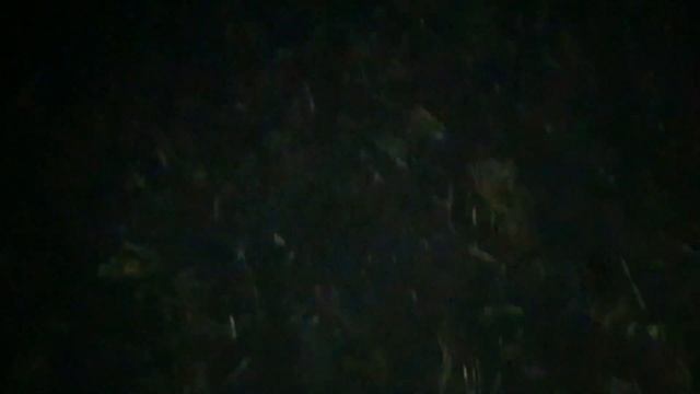 Круто покопали ночью с Simplex Plus, Поисковые грабли, Minelab стх-3030,серебро,монеты, поиск, хаба смотреть онлайн