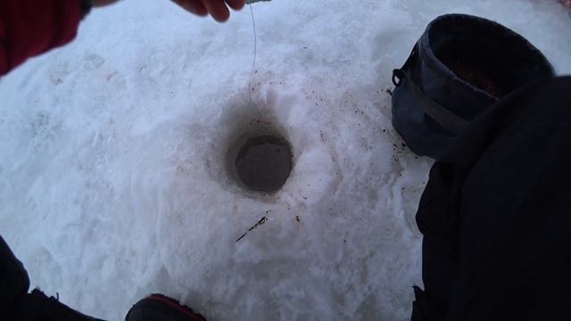 СТОЛЬКО РЫБЫ Я НЕ ОЖИДАЛ УВИДЕТЬ КОГДА ОПУСТИЛ КАМЕРУ. МОСКВА-РЕКА. ЗИМНЯЯ РЫБАЛКА. смотреть онлайн