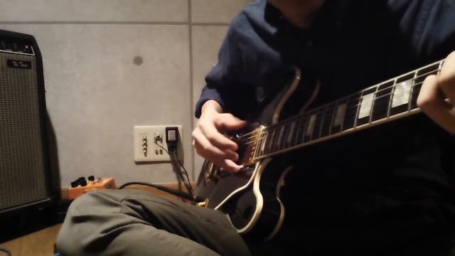 GIBSON ES-355 with MAD PROFESSOR Sweet Honey Overdrive смотреть онлайн