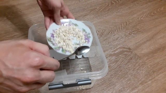 Взяли в плен мучного хрущака смотреть онлайн