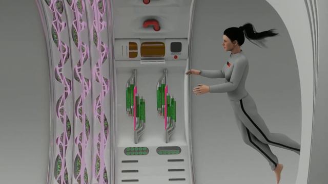 What Will Future Astronauts Eat? | Phnam Bagley | TED смотреть онлайн