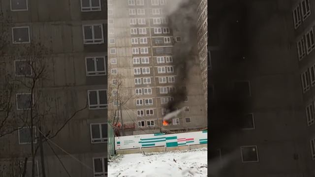 Пожар в новостройке Зеленограда смотреть онлайн