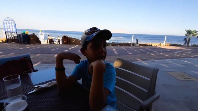 Отдых на карантине в ЕГИПТЕ! Albatros Palace Sharm el Sheikh 2020 смотреть онлайн